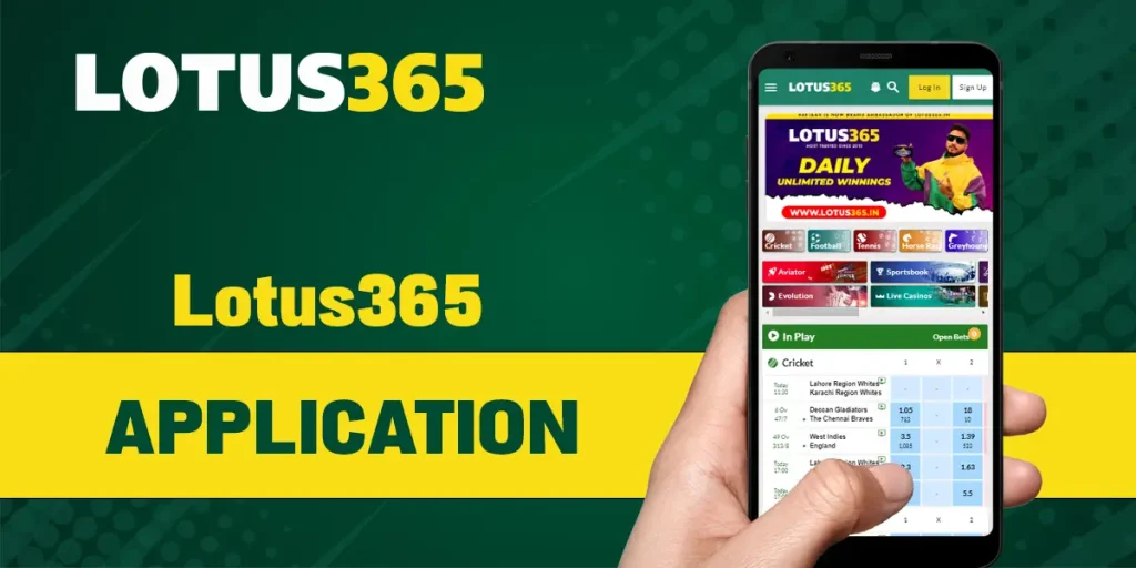 lotus 365